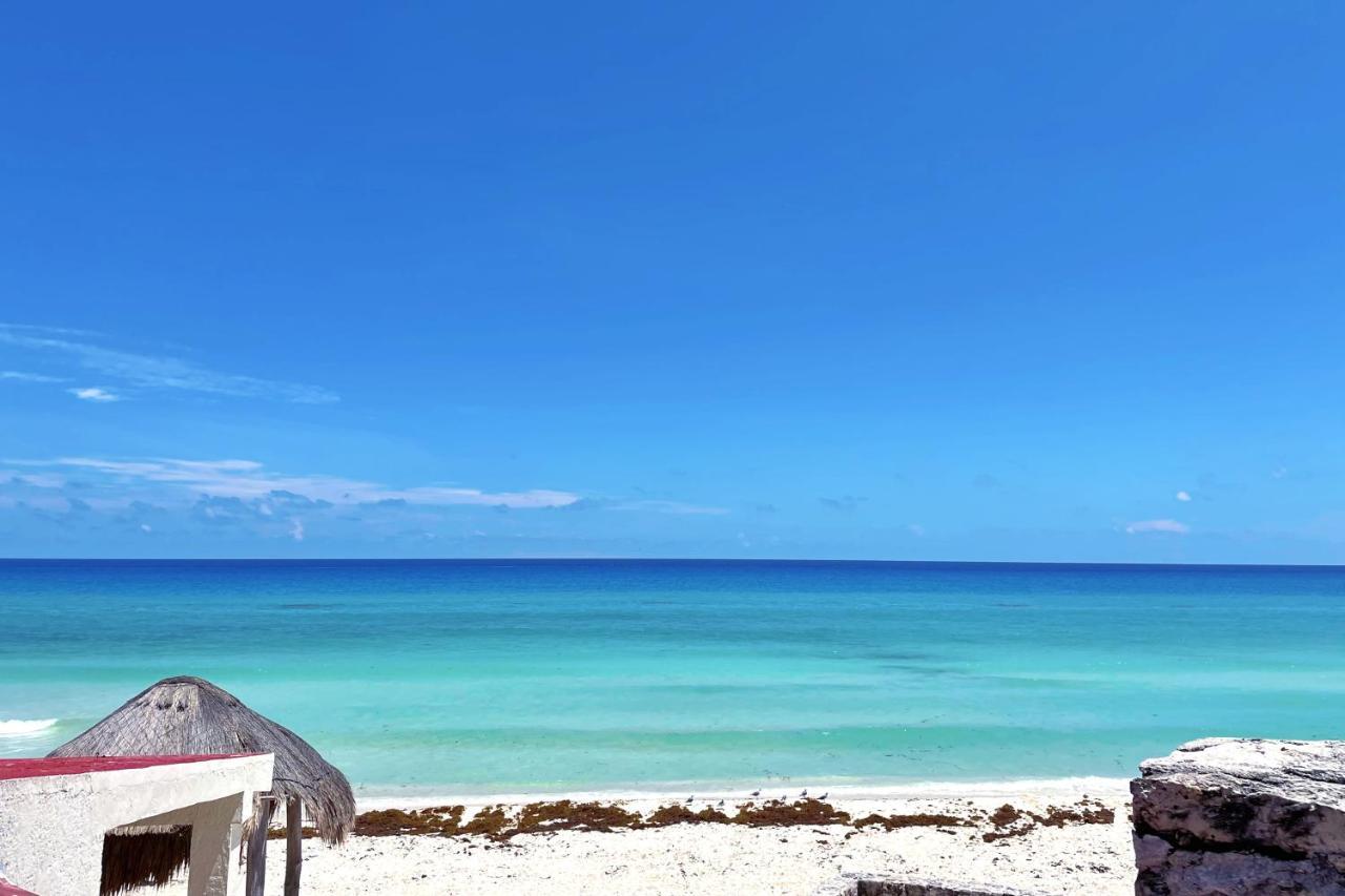 Renovated Studio In Cancun Beach At The Hotel Zone Eksteriør billede