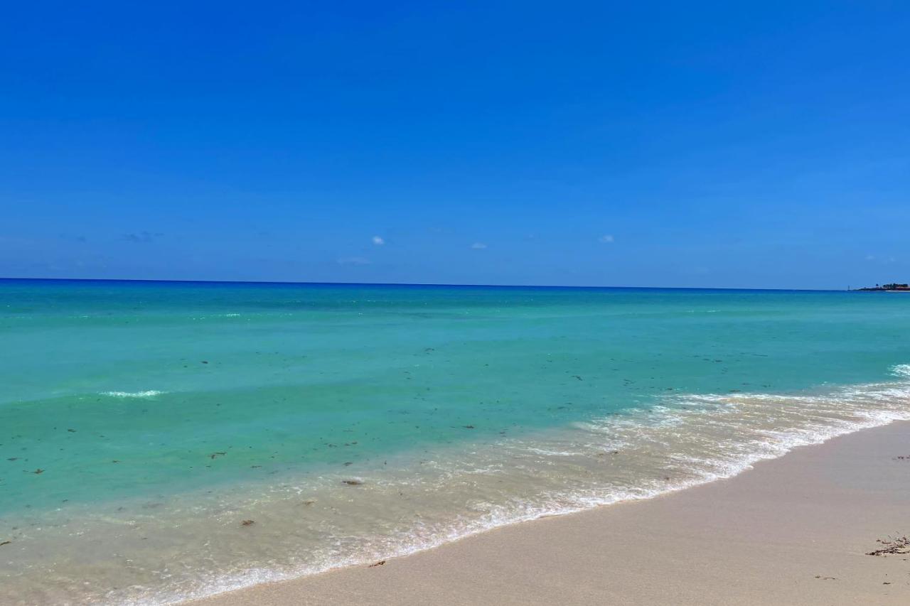 Renovated Studio In Cancun Beach At The Hotel Zone Eksteriør billede